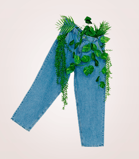 pant-H-Mob.png